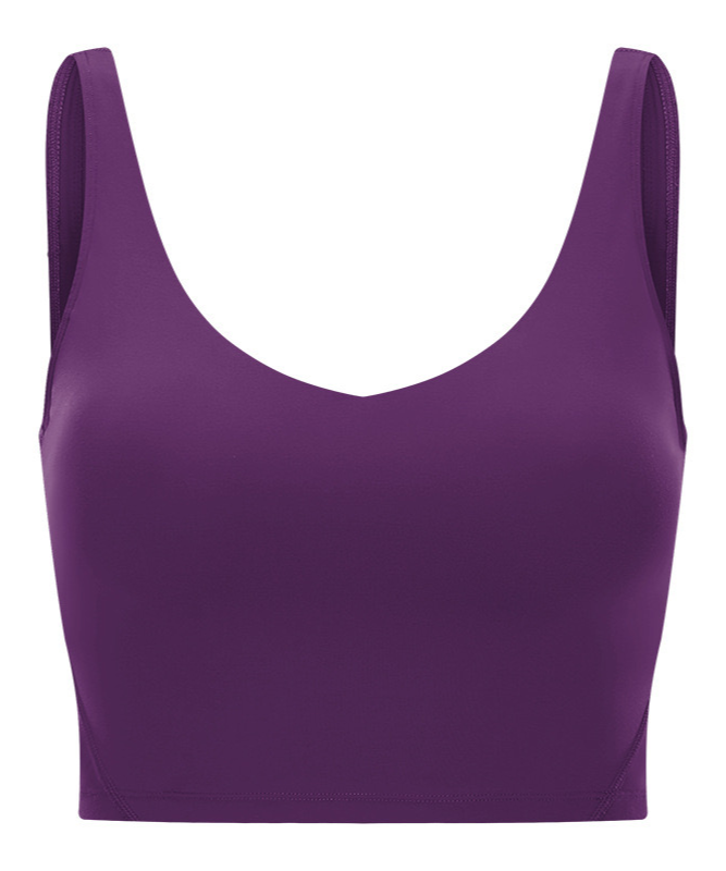 Valencia Sports Bra - Aubergine