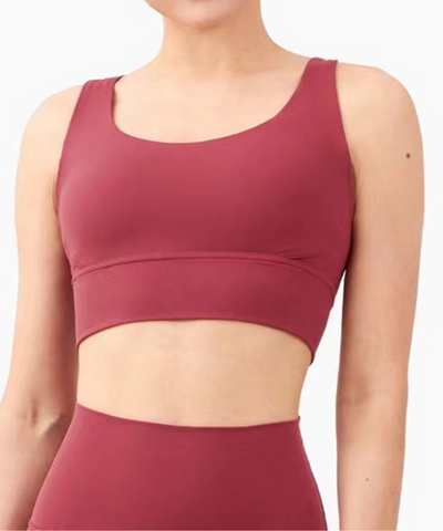 Paris Sports Bra - Terracota
